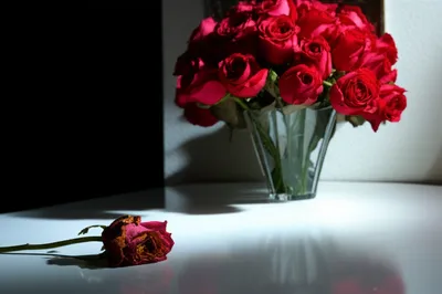 Illustration disfavoured - Image 1