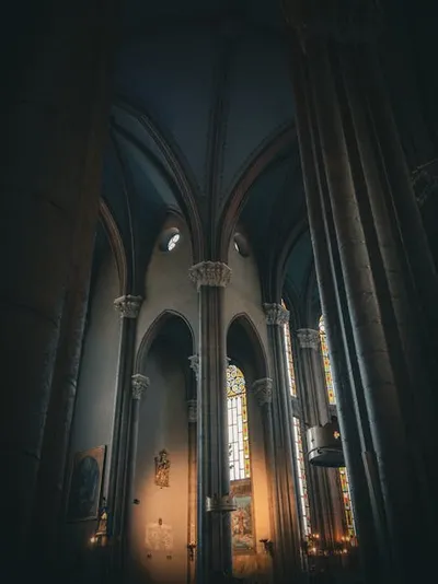 Illustration largest - Image 2