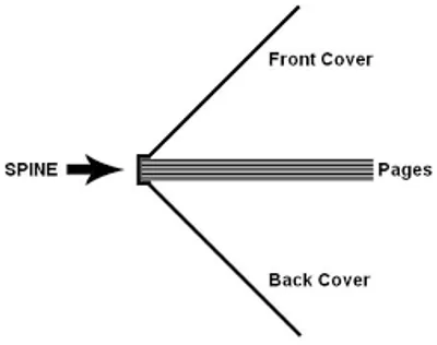 Illustration spine - Image 5