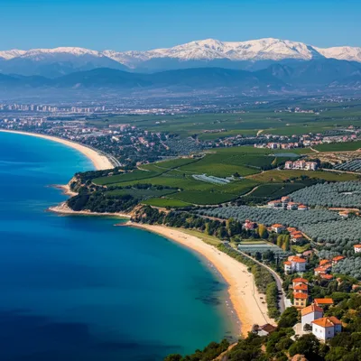 Illustration plages - Image 1