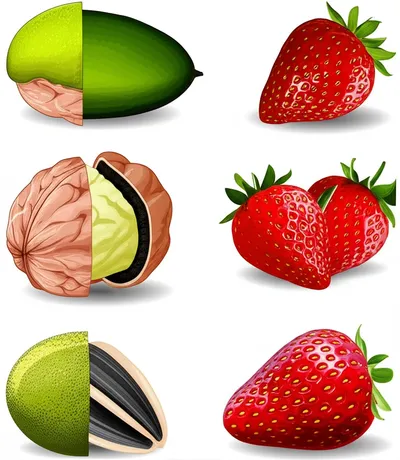 Illustration hulls - Image 1