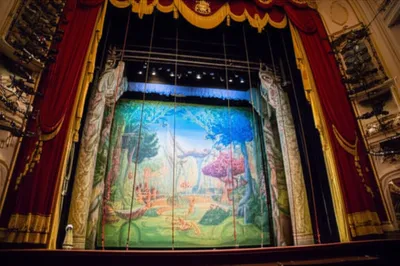 Illustration flies - Image 1