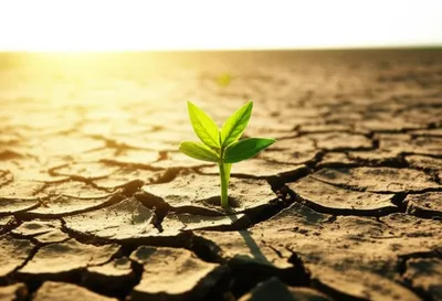 Illustration initiatives