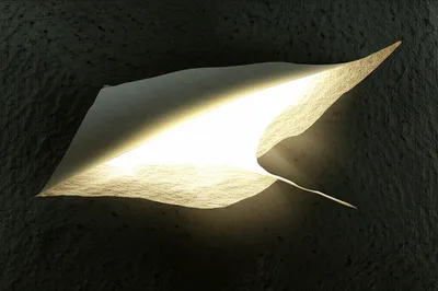 Hình ảnh minh họa rip - Ảnh 1