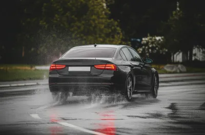 Illustration fishtail - Image 1