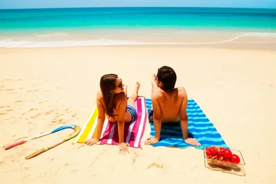 Illustration apples - Image 1