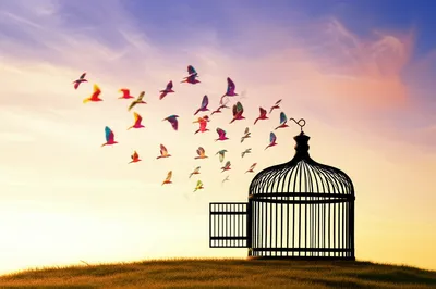 Illustration looses - Image 1