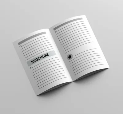 Illustration brochure