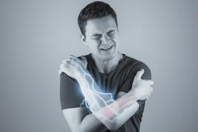 Illustration stinger - Image 1