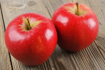 Illustration pair - Image 1