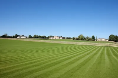 Illustration estate - Image 1