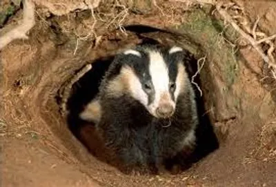 Illustration earth - Image 3