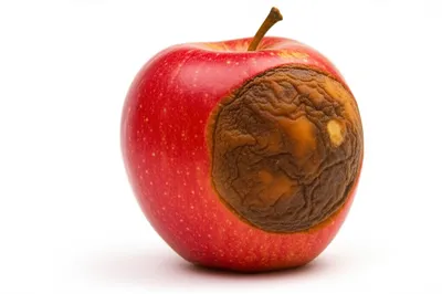 Illustration degenerate - Image 1