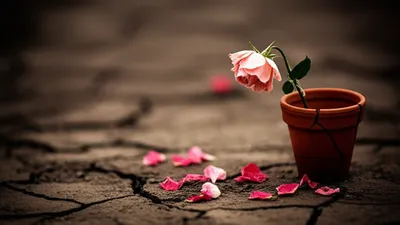 Illustration defeated - Image 1