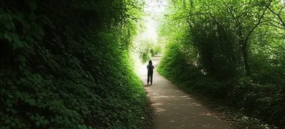 Hình ảnh minh họa adventure - Ảnh 1