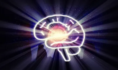 Illustration knows - Image 1