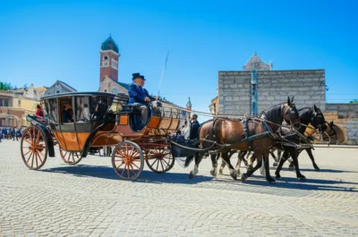 Illustration drags - Image 1