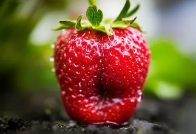 Illustration proofs - Image 1