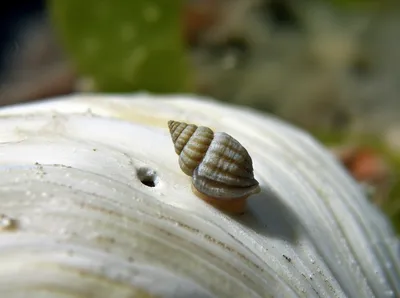 Illustration drill - Image 1