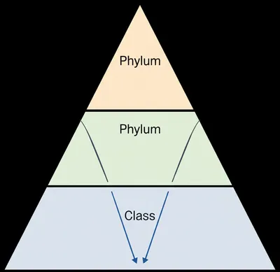 Illustration superclass - Image 1