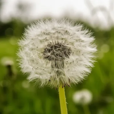 Illustration clocks - Image 1