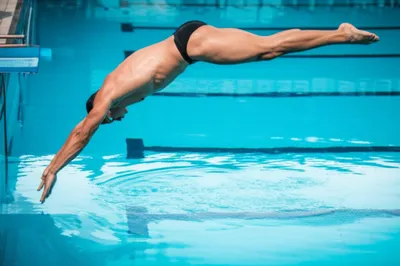 Illustration speedo - Image 1