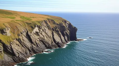 Illustration bill - Image 1