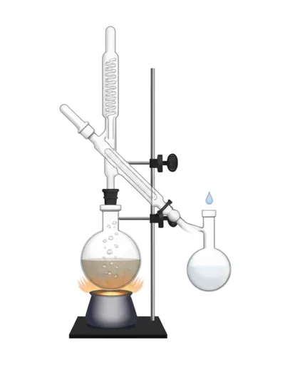 Illustration rectifies - Image 1