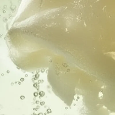 Illustration soured - Image 1