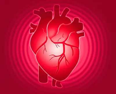 Illustration heartbeat - Image 1