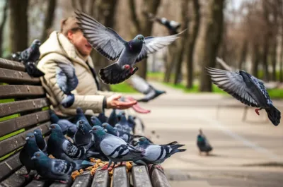 Illustration shooed - Image 1