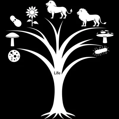 Illustration divisions - Image 1