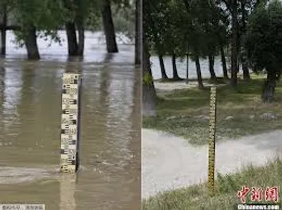 Illustration subside - Image 2