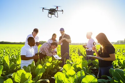 Illustration fielded - Image 1