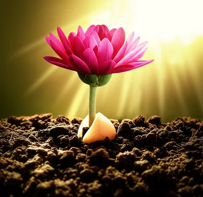 Illustration beget - Image 1