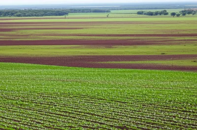 Illustration vegas - Image 1