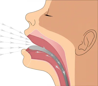 Illustration whistle - Image 1