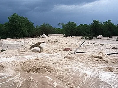 Illustration torrent