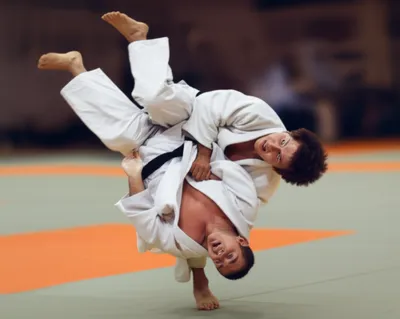 Illustration hipped - Image 1