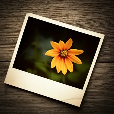 Illustration past - Image 1