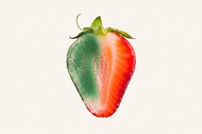 Illustration molded - Image 1