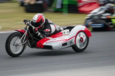 Illustration monkeys - Image 1