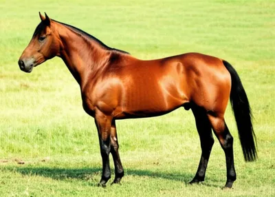 Illustration bays - Image 1