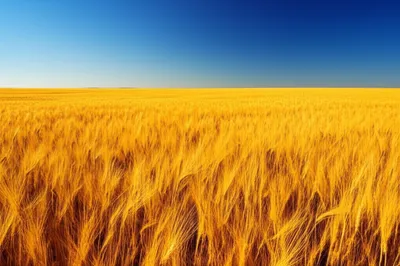 Illustration largely - Image 1