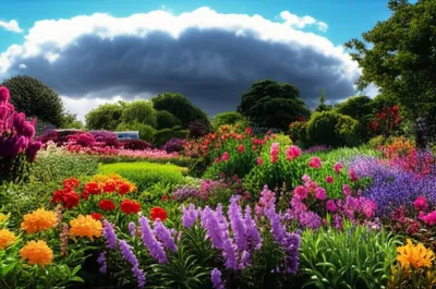 Illustration damp - Image 1