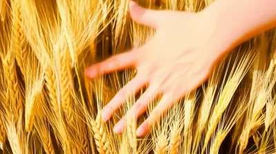 Illustration brushes - Image 1