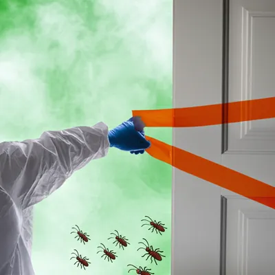 Illustration fumigated