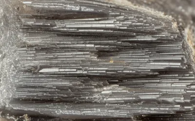 Illustration polysynthetic - Image 1