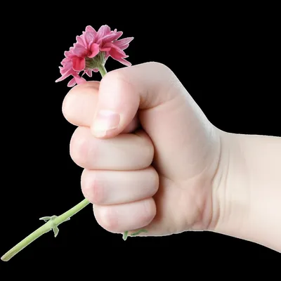 Illustration misusing - Image 1