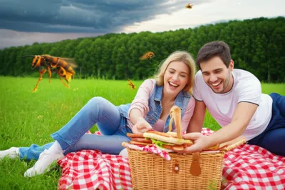 Illustration hitches - Image 1